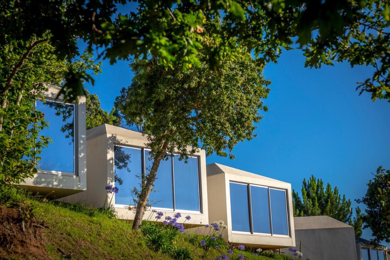 Amare Country House Caminha Exteriör bild
